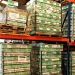 Logo del grupo C006.4 Seguridad en el Manejo de Montacargas GRUPO (2025-11-24)